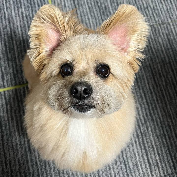 597e5558 8ec5 4017 be86 dea8460cb562 1741685051965