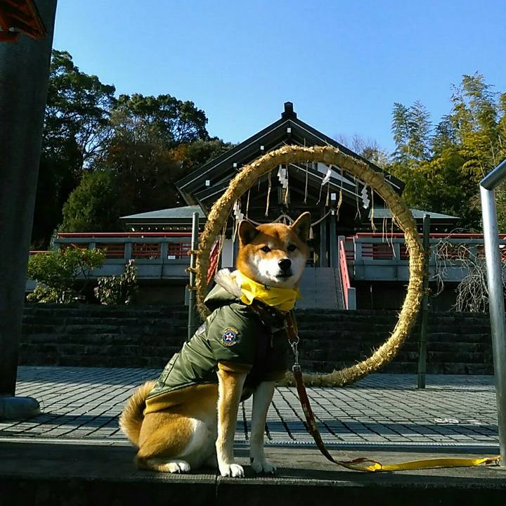 597e8507 1a3f 4b59 9715 87cf95d8cbf7 1545633690629