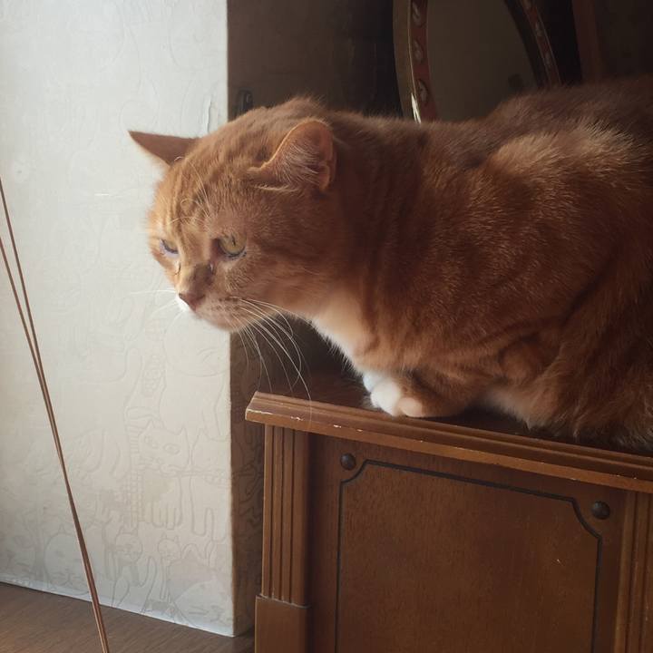 597e922d 9379 46b4 a3c3 03b08e39f3da 1572664749788