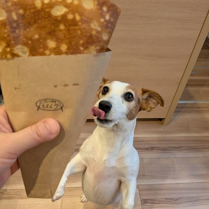 597ead6d b568 4842 927e 823704cdc4ac 1766032019127