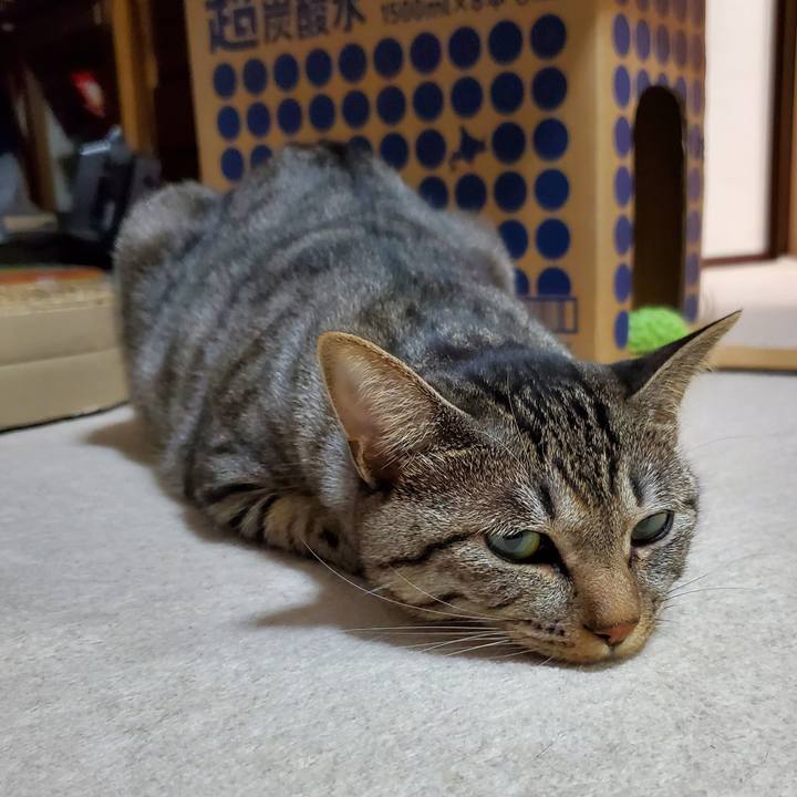 597f0afd c0ce 4704 b1ad da850f97d941 1697977248858