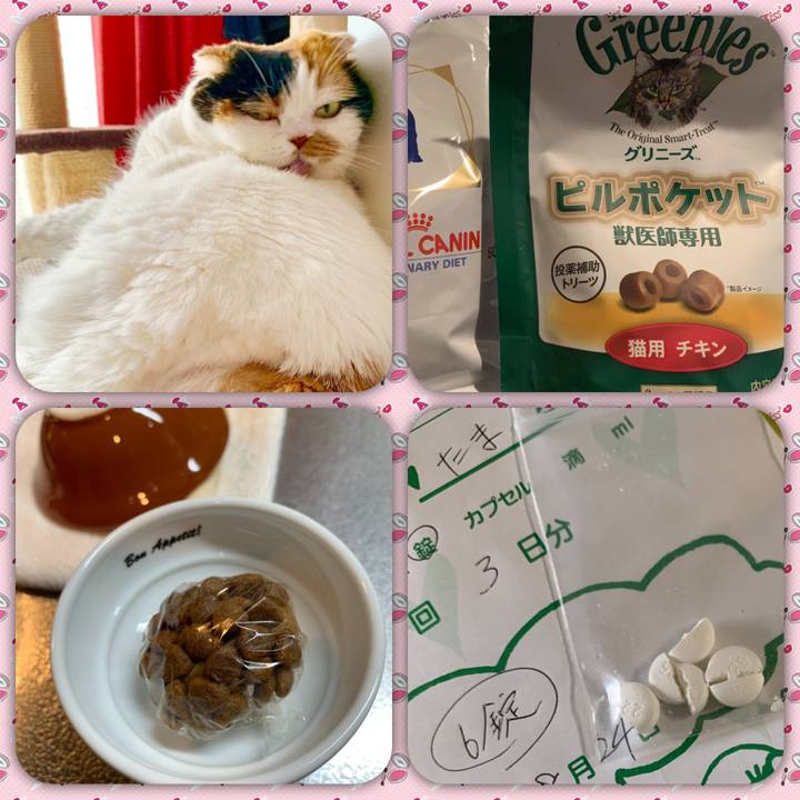 597f1be9 7381 4af0 b3b3 989371c7d4e3 1566634314610