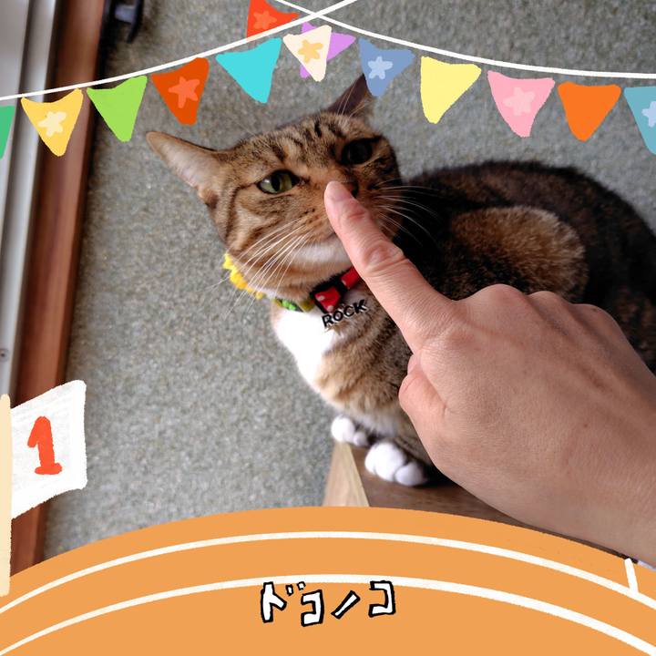 597f545b 63b5 414b b783 764565f997d9 1761357883076