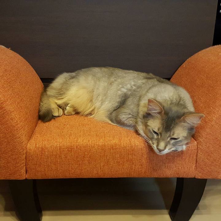 597f6145 b164 48d4 854e 18ce1b45b4da 1557663587719