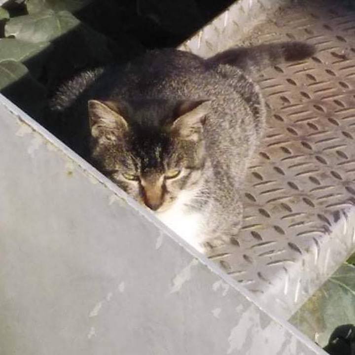 597f7d98 0cfc 4d21 8c74 1f94948788b1 1640053434940