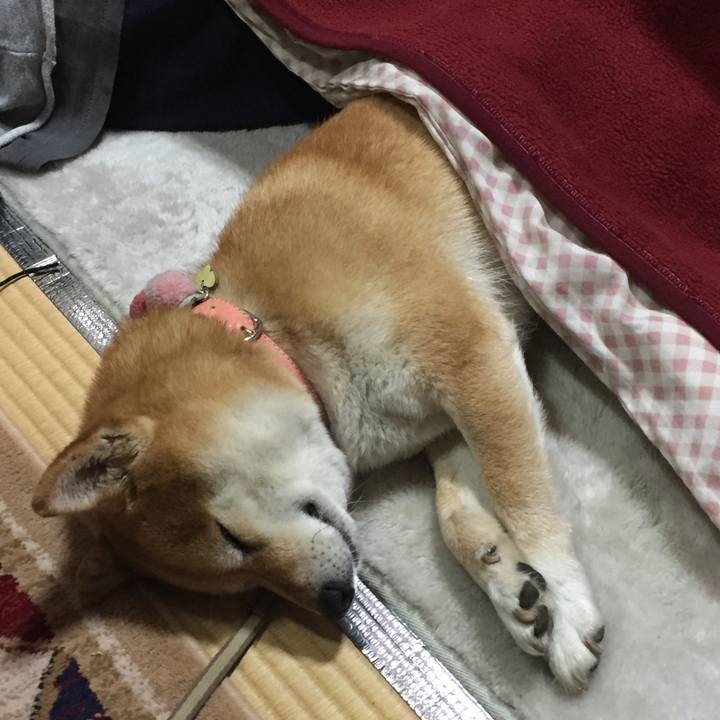 597f85a3 eccd 44f1 b034 151f2690f081 1520167611330