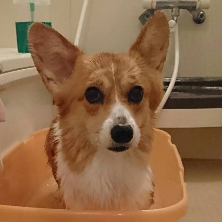 597fe46e 71ae 4e04 80e4 1611ad2e6301 1540205028389