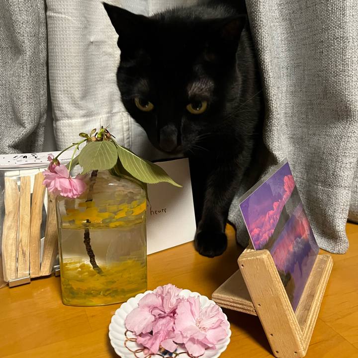 597fedf7 94b5 4ac5 bd2a 6985ab59120d 1681308612154