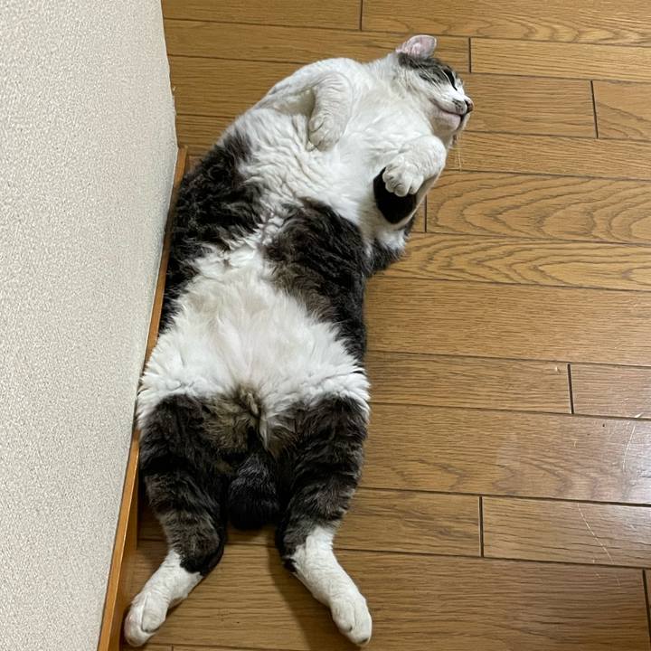 5980473b 1b10 4c45 a50c 91810b4ffac3 1687095908743