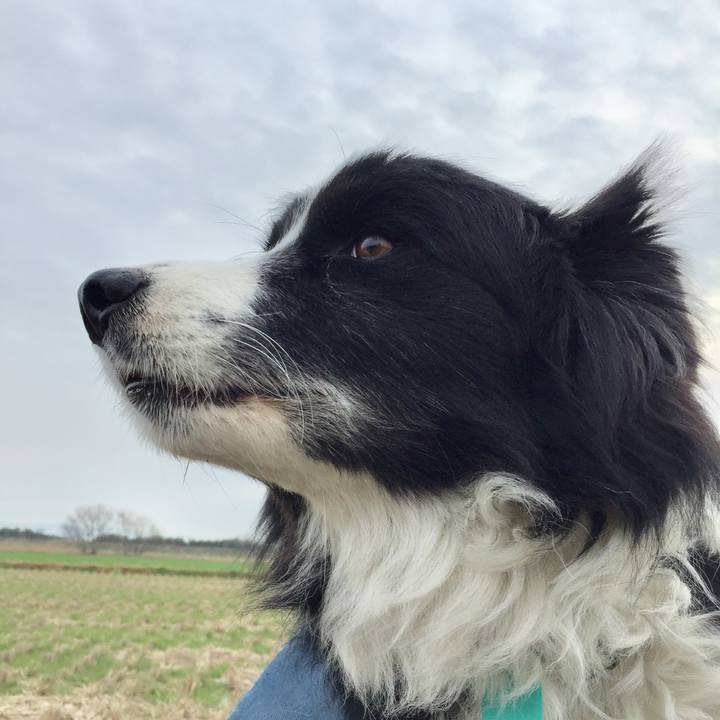 59804cf5 d3e4 4dac 81ab d4e743d0b47e 1579219512852