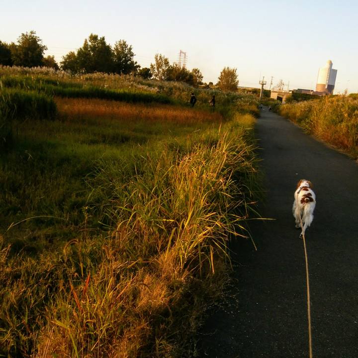 59805696 28be 487c b790 ee3f4a74c559 1540110383025