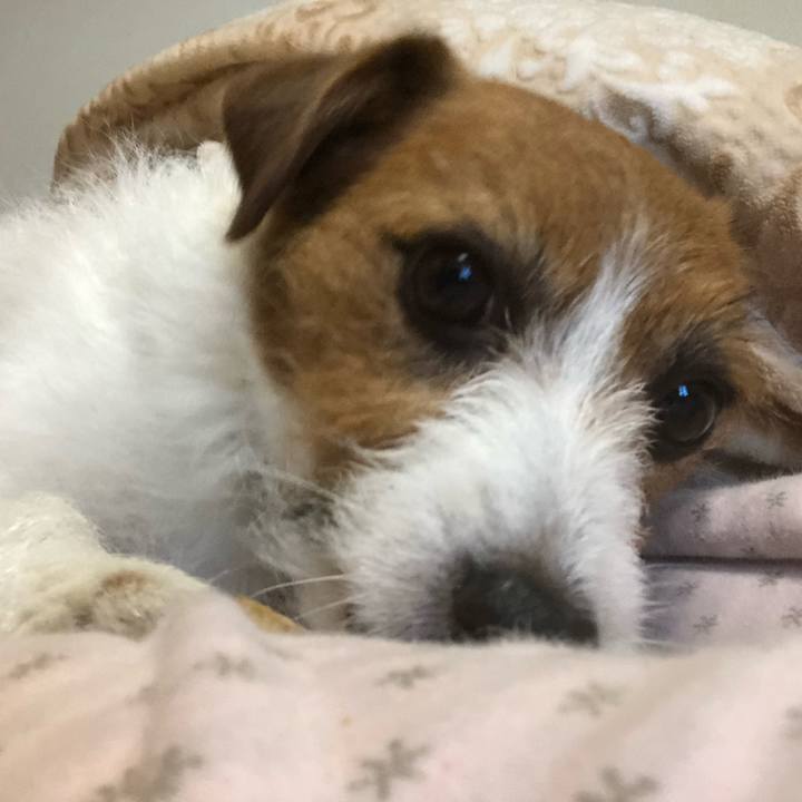 59806a84 07a8 435f be6e f9e90cd80159 1550375631536