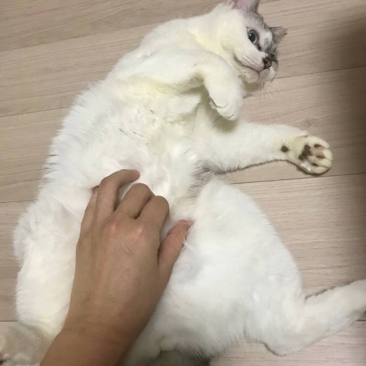 59808070 8084 45bf aa0b 0576f0d997a1 1516051503341