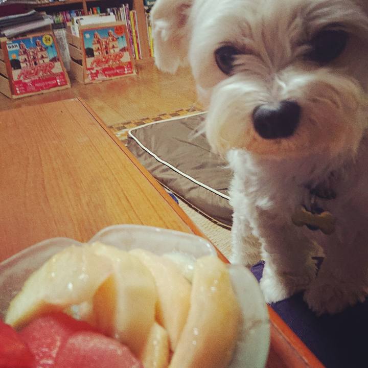 598093aa 9d64 491e aa54 930932f81c45 1532263125473