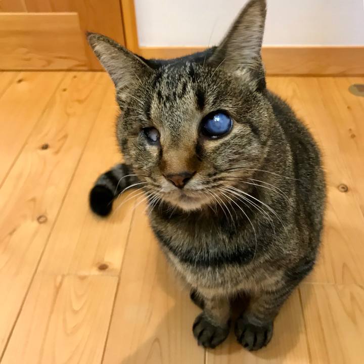 5980b4bf ab8a 48d0 b583 510f15ab90c0 1542421156232