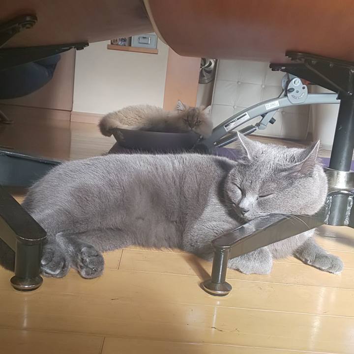 5980bdce 10af 43c5 99c4 d9288c1e4fd2 1571809001630