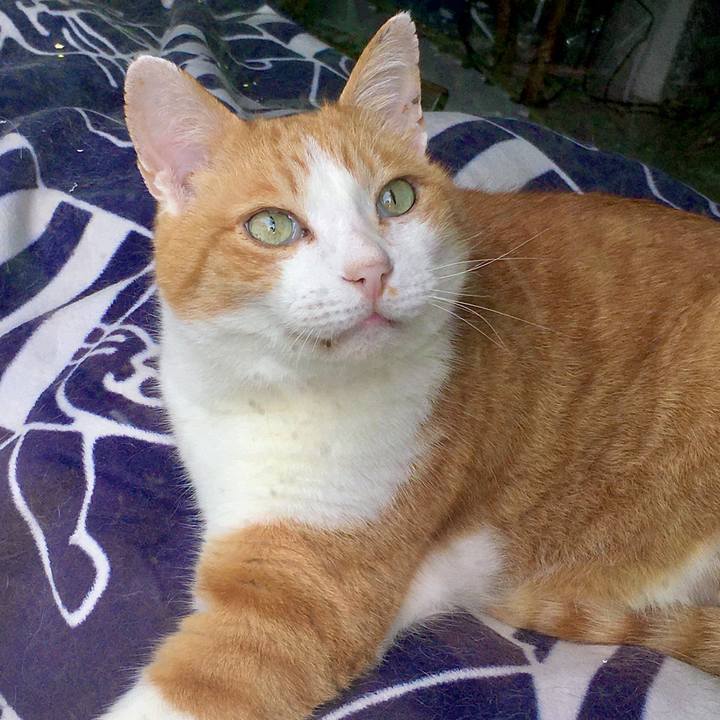 5980df98 f7af 4b99 acd0 76b674700124 1589351512323