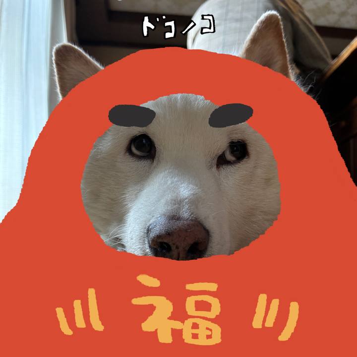 59810637 1af4 4dfe b492 a3858db8eecb 1772238869595