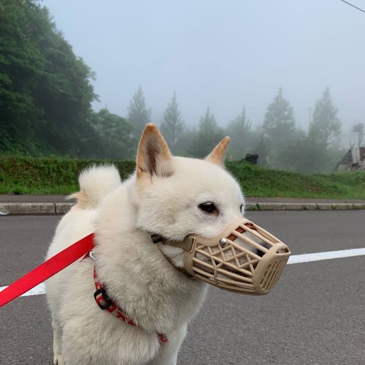 59811366 d8d0 4eea 9de5 2c7da8c63c19 1559767577953