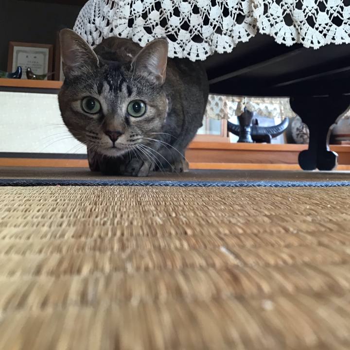 598150c6 b7ab 489f a335 e13e61b8b9d9 1616400682900