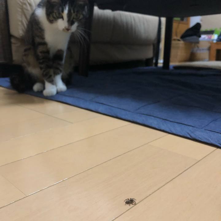 5981a404 487f 4f38 8ed3 044981aced13 1559305546639