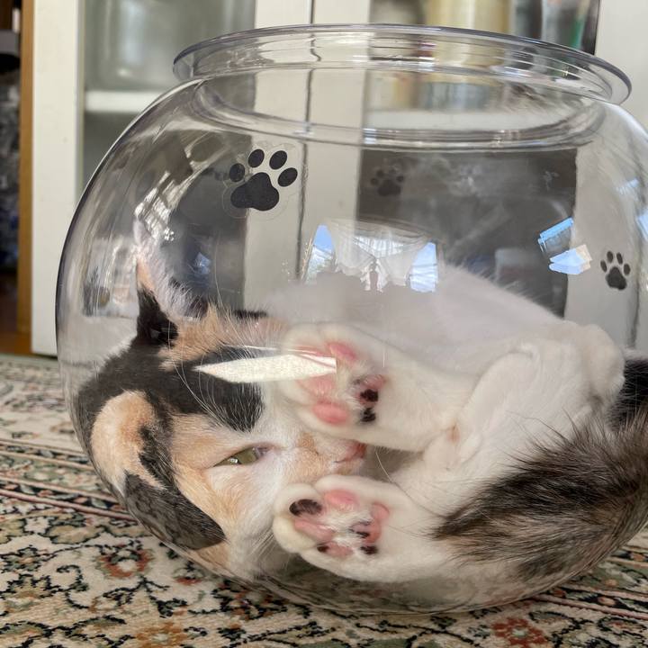 5981a831 4d07 4490 ab53 5993c38a034d 1722294262199