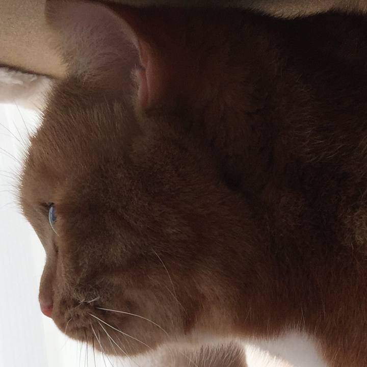 5981b7f4 941d 4bd2 838c e25ae6826a6b 1544828532708