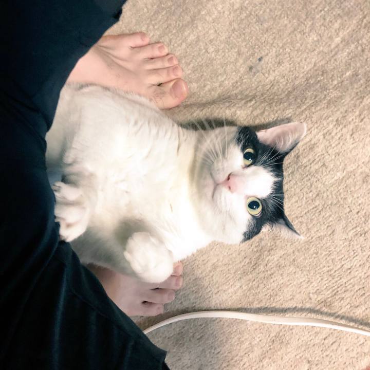 5981d0c2 3361 4583 a6f4 8d036bd4b34e 1545064953733