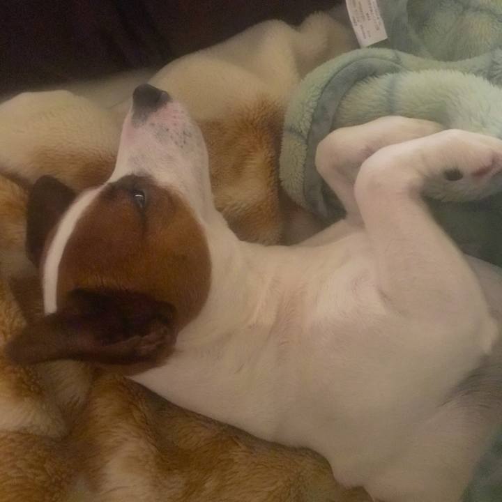 5981ddf2 ea3e 4039 a15b 26ec77517001 1527456868792