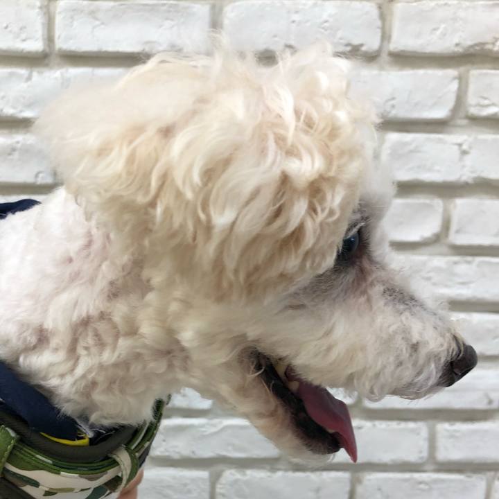 5981ec2c 3c7e 4511 bfa3 007a31ff2ae8 1532299266118