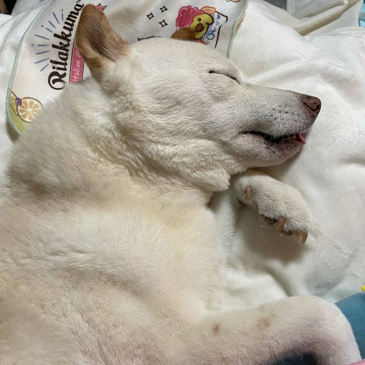 598208b0 98f7 49a1 99c7 3625c7cca20c 1634026664126