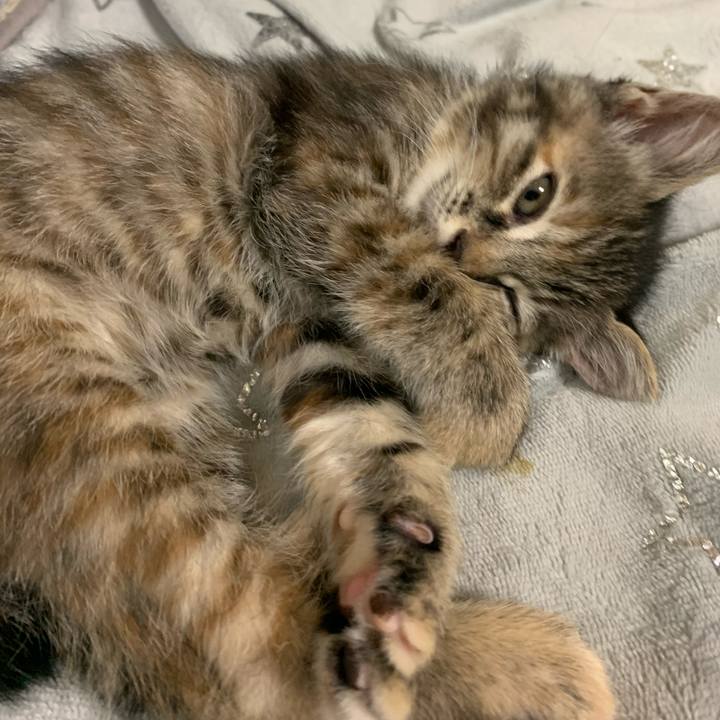 59821580 1105 4e61 9957 375b866f730c 1590201590753