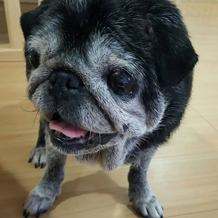 59822079 6eef 40fd a460 8aca1922f3b0 1540297086177