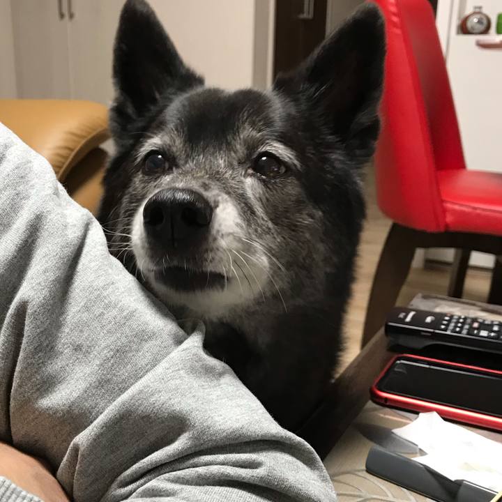 59829bee e497 4492 9997 a0f5a1b46472 1616230964493