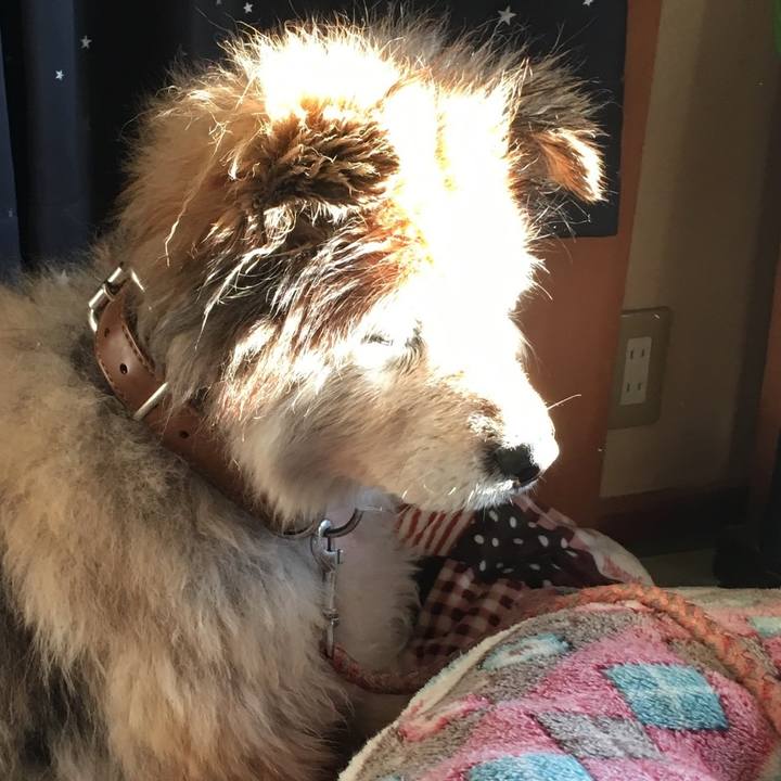 5982a89d e70f 4fb2 8281 be1bd0441940 1610195778530