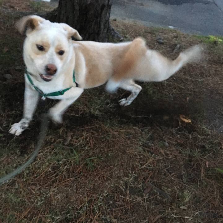 5982b25b 286a 405b 9037 3630a81f3c87 1513741128674