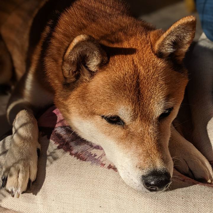 5982c0a0 23fb 4f0b b6db 42d62217d0e2 1701588822371