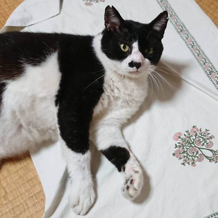 5982e99e 6858 4114 9495 0cf3976a66bc 1569720845809