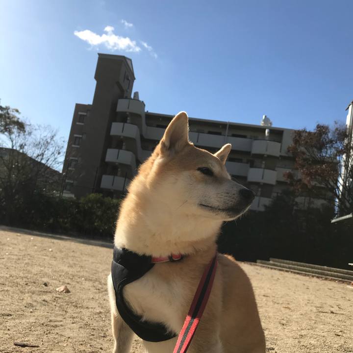 598312c9 80bd 42f7 8b73 fe4a38c212b3 1513045357733