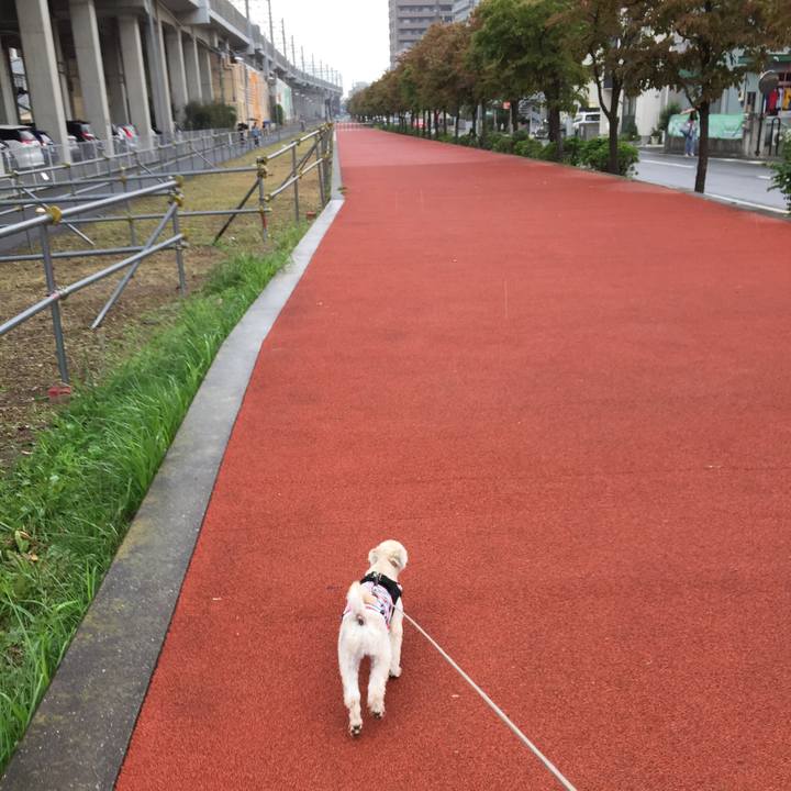 59832e07 dc13 4d0e b664 725e2004c703 1538207449697