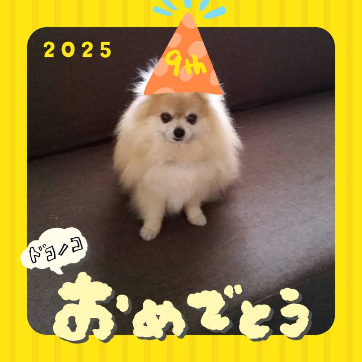 598377df dc92 4afa ae5a 2265e1943dc4 1749131428444