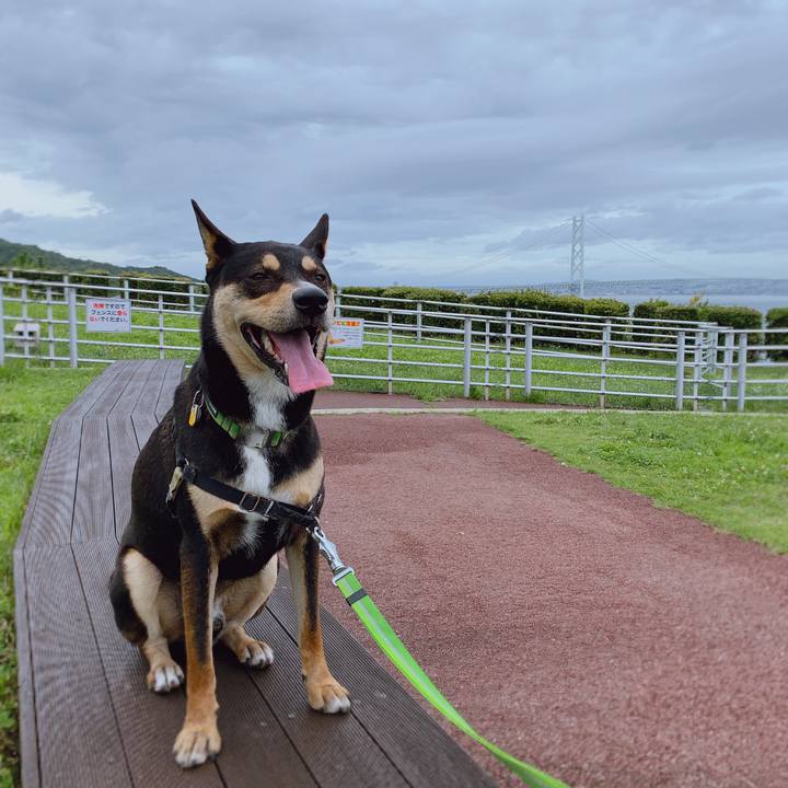 59838f75 be70 4b40 adc0 9c31851de063 1563675944555