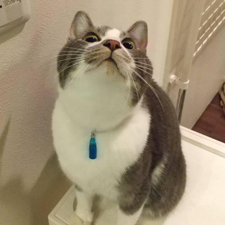 5983935d 6c3d 43e9 834a 974cbda49d48 1610451468097