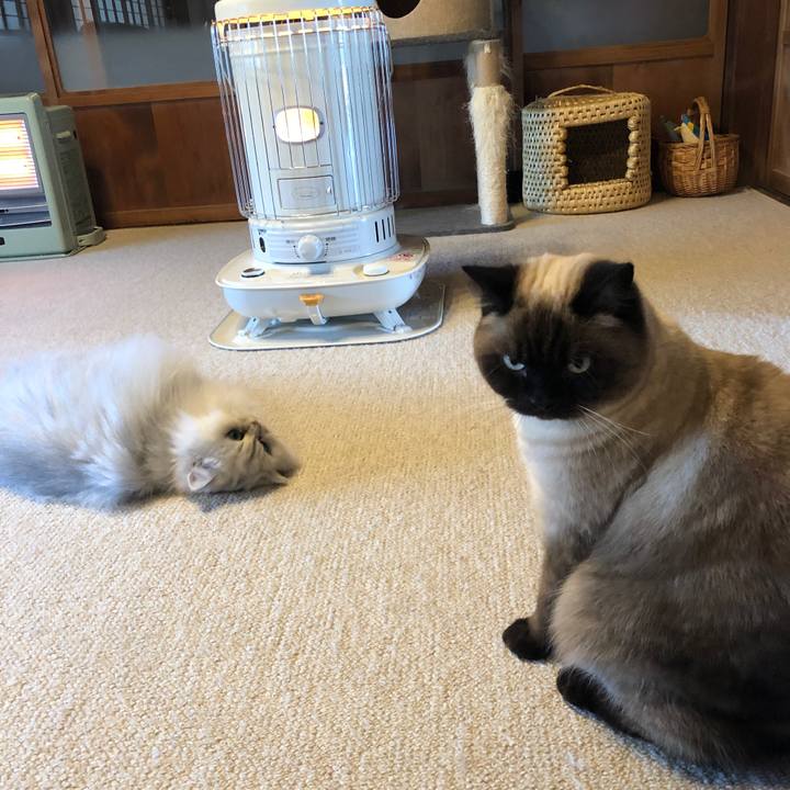 5983b600 42d8 4fff 980e 6cdddf015542 1613785478292