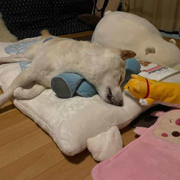 5983c087 23af 48ea 973a 5ce70bbb0064 1662388136593