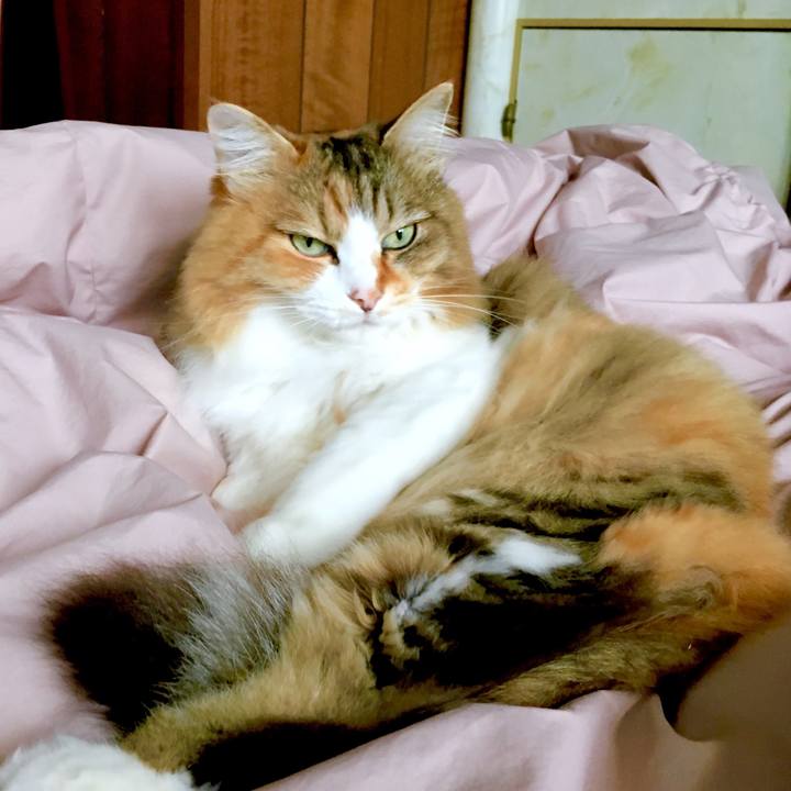 59842c4f e8f0 4b09 8954 eadb772390ab 1562561657147