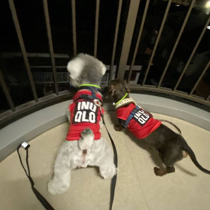 598432bd 9cc9 4a85 85e3 b9990f6ec348 1619967361193