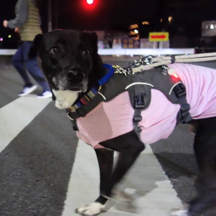 598457b2 206c 4ce8 8775 36ea83fa15ce 1644576892558