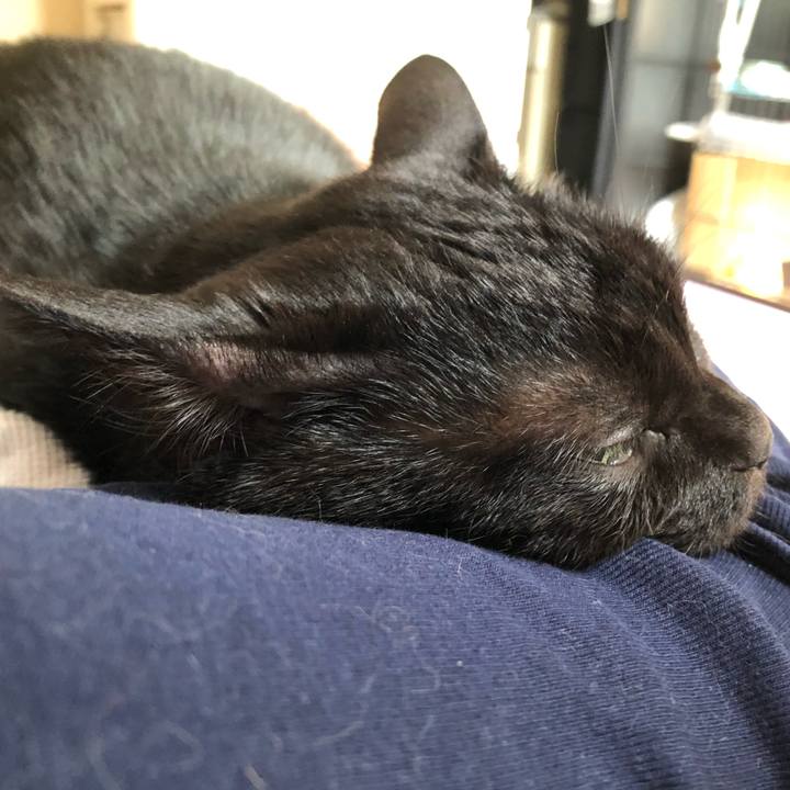 598501be ab91 47e0 9e2b d0a9a0073d8e 1588985075726