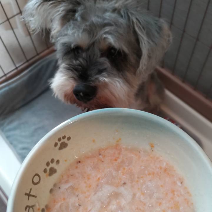 598555de 042f 4730 b2e3 310879cf8937 1688970254657